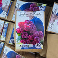 Lalele ADORE 12/+ - Pachet 10 Bulbi