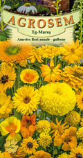 Yellow Annual Flower Mix
