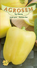 Bell Pepper - Dariana Bac
