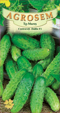Castraveti cornichon - Dalila F1