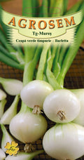 Ceapă Barletta