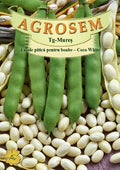 Dwarf French bean for dry seeds - Coco White