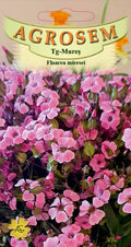Pink Spiraea
