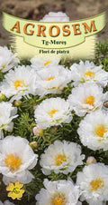 Double White Stone Flowers