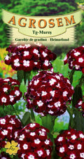 Heimatland Garden Pinks