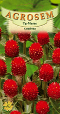 Red gomphrena