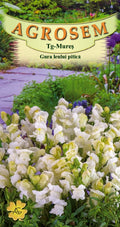 Dwarf white snapdragon