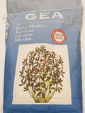 Alfalfa treated with rhizobium Gea SuperMix