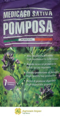 Pomposa Alfalfa C1