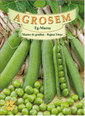 Garden pea - Rajnai Torpe