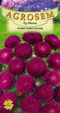 Ochiul boului Paeonia Roșu