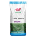 Padana Brillante 1 kg - Semințe Gazon Profesionale - Pentru Zone Umbrite și Trafic Intens