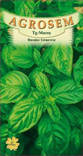Genovese Basil