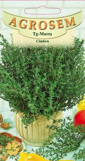 Thyme