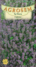 Wild thyme