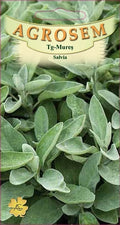 Sage