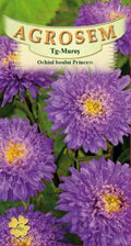 Princess Oxeye