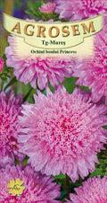 Oxeye pink princess