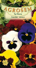 Pansies - mixture