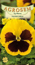 Yellow pansies