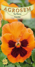 Orange pansies