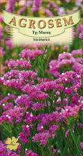 Pink saltwort