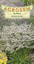 Perennial glasswort