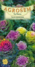 Ornamental cabbage