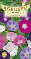 Morning Glory mix