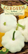 Squash Patisson - Custard White