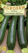 Squash Zucchini - Black Beauty
