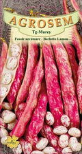 Climbing bean - Borlotto Lamon