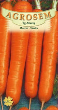 Carrot - Nantes