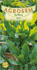 Sorrel
