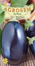 Eggplant - Black Beauty