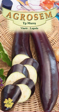 Eggplant - Lagada