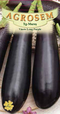 Padlizsán - Long Purple