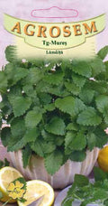 Lemon Balm