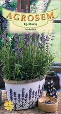 Lavender