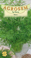Dill