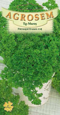 Curly-leaf parsley