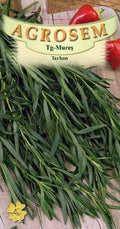 Tarragon