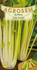 Celery stalks