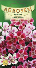 Azalea-Godetia