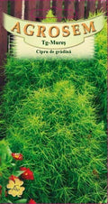 Garden cypress