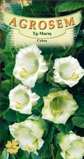 Cobaea