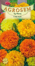 Tall marigolds