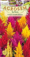 Cockscomb plumosa mix