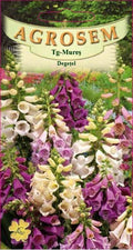 Foxglove