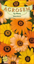 Dimorphotheca